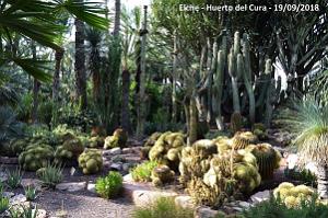 19 ELCHE HUERTO DEL CURA (101)